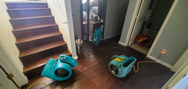 Best Local water damage restoration  in Stallings, NC