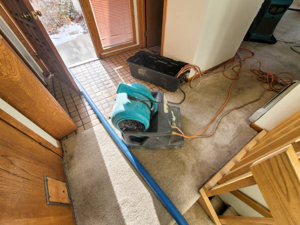 Best Sewage cleanup and water damage restoration  in Stallings, NC