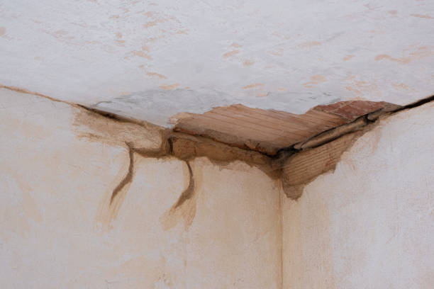Best Residential water damage restoration  in Stallings, NC
