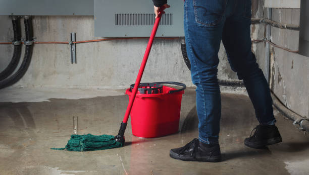Best Flood damage cleanup  in Stallings, NC