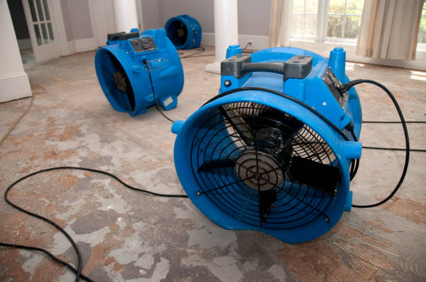 Best Flood damage cleanup  in Stallings, NC