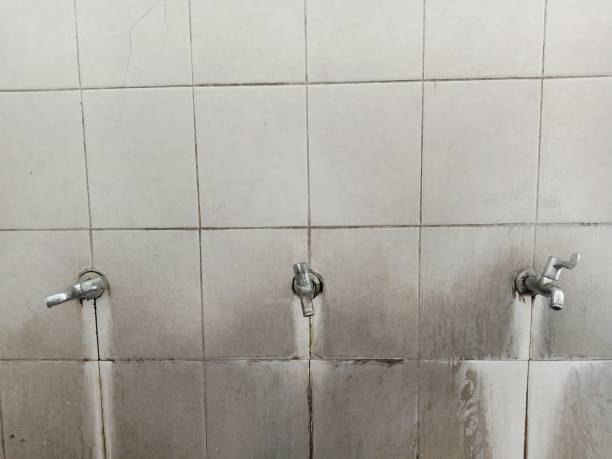 Best Commercial water damage restoration  in Stallings, NC