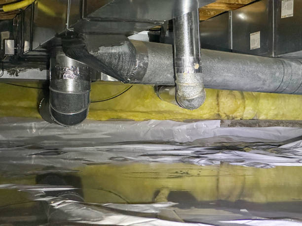 Best Water damage repair service  in Stallings, NC