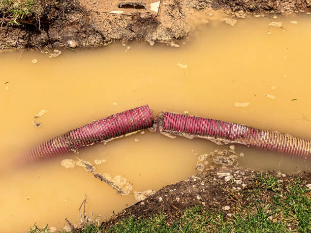 Carpet water damage restoration in Stallings, NC