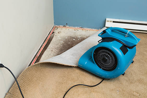 Best Water damage restoration near me  in Stallings, NC